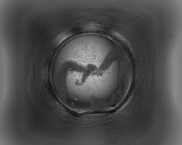X0000085741313200703231101