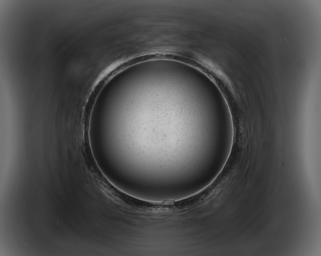 X0000085741316200703231101