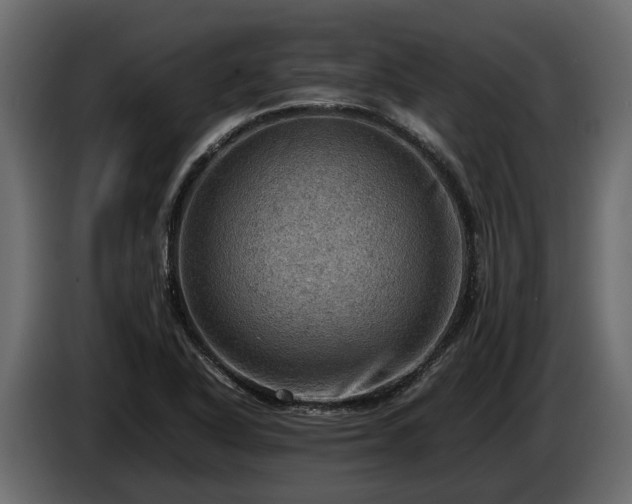 X0000085741318200703231101