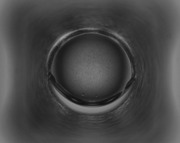 X0000085741319200703231101