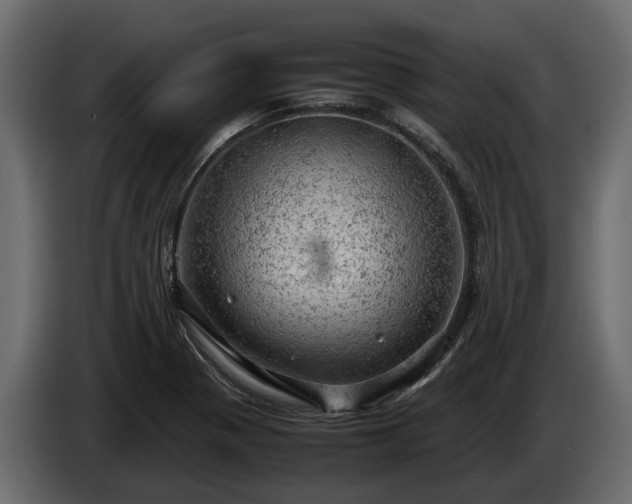 X0000085741321200703231101