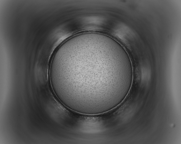 X0000085741322200703231101