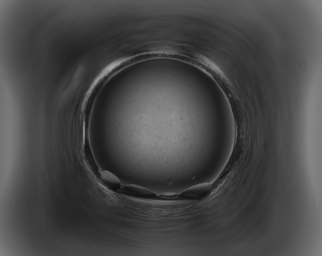 X0000085741323200703231101