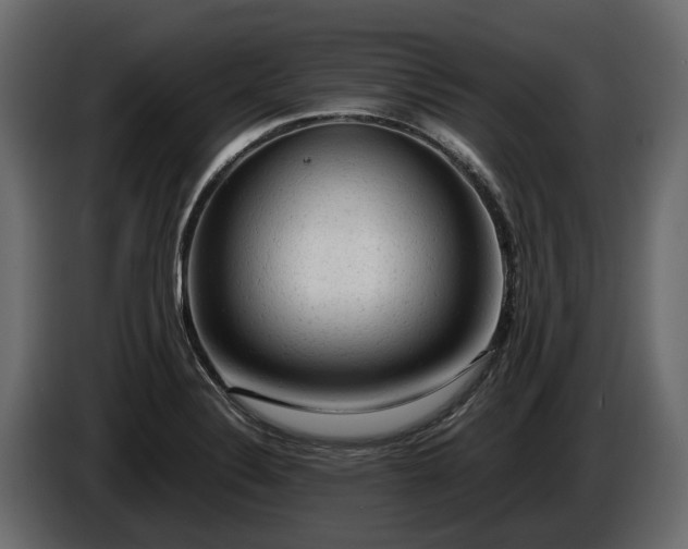 X0000085741324200703231101