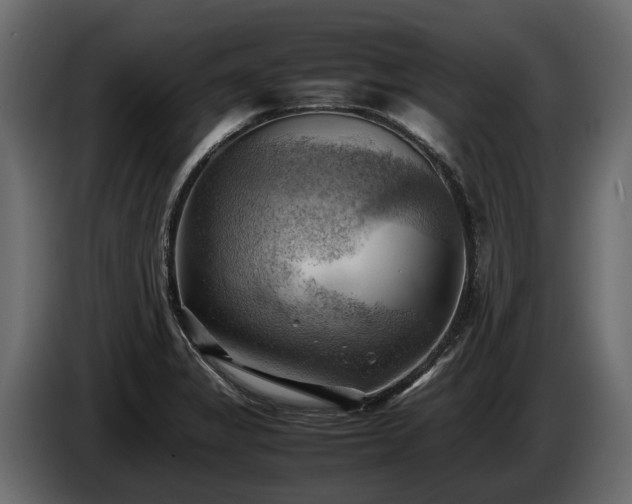 X0000085741325200703231101