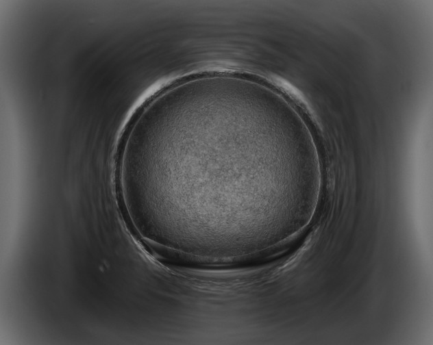X0000085741326200703231101
