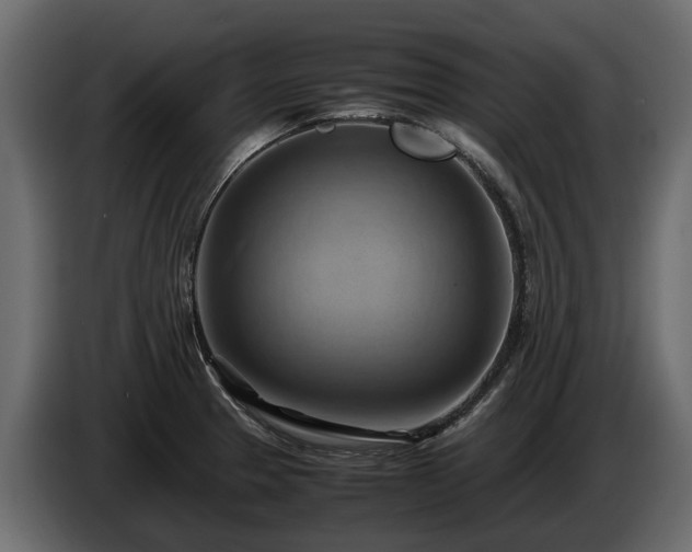 X0000085741329200703231102