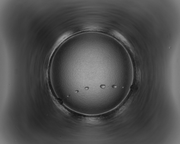 X0000085741330200703231102