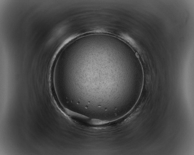X0000085741331200703231102