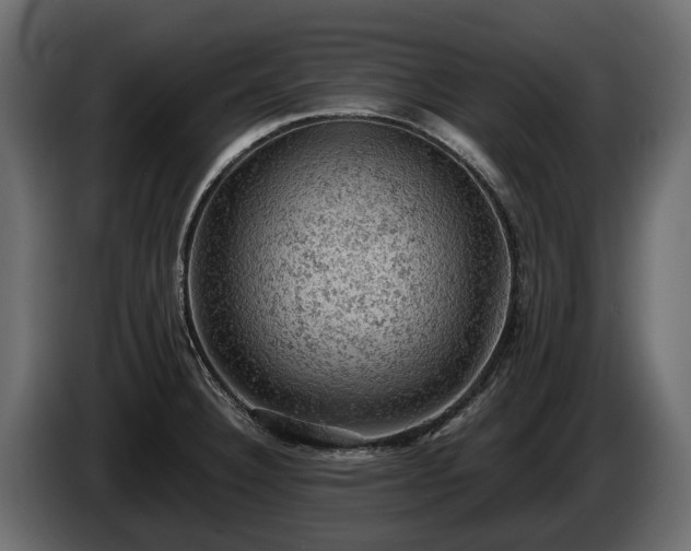 X0000085741332200703231102