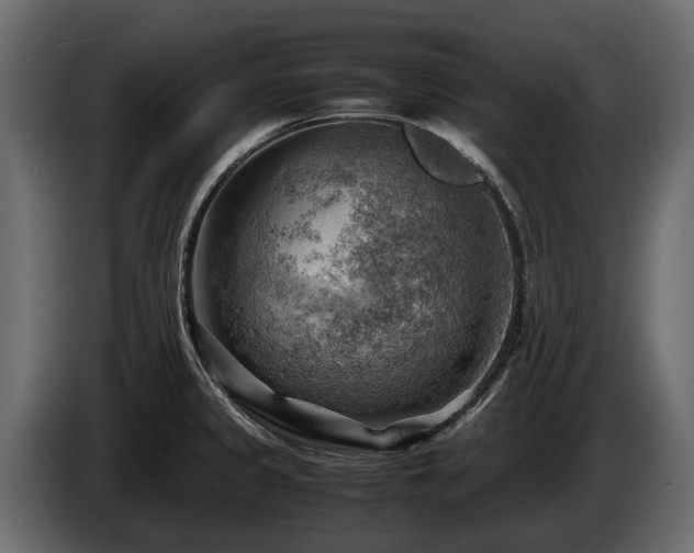 X0000085741333200703231102