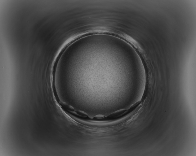 X0000085741334200703231102