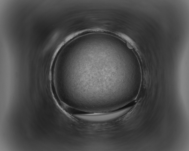X0000085741335200703231102