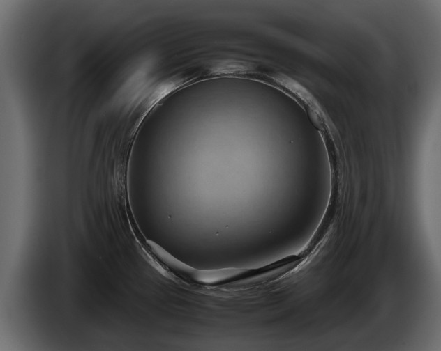 X0000085741337200703231102