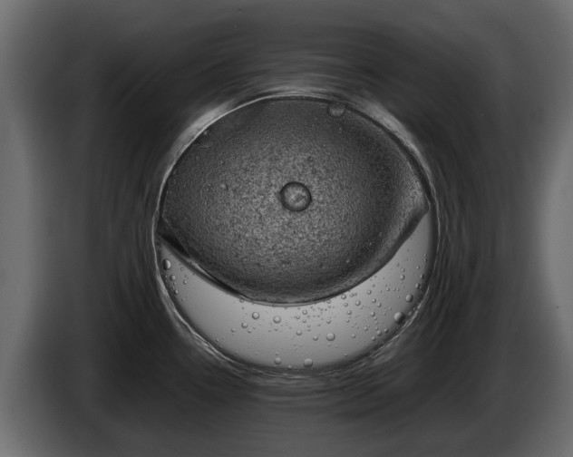 X0000085741338200703231102