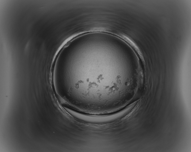 X0000085741340200703231102