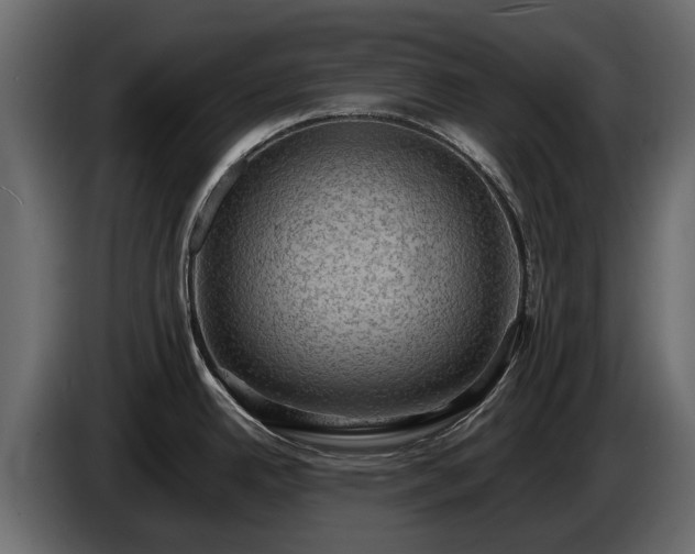 X0000085741342200703231102