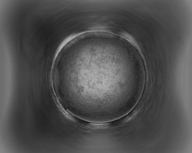 X0000085741344200703231102