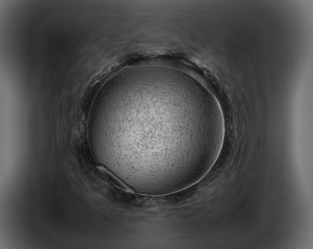 X0000085741349200703231101