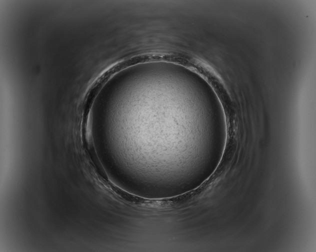 X0000085741352200703231101