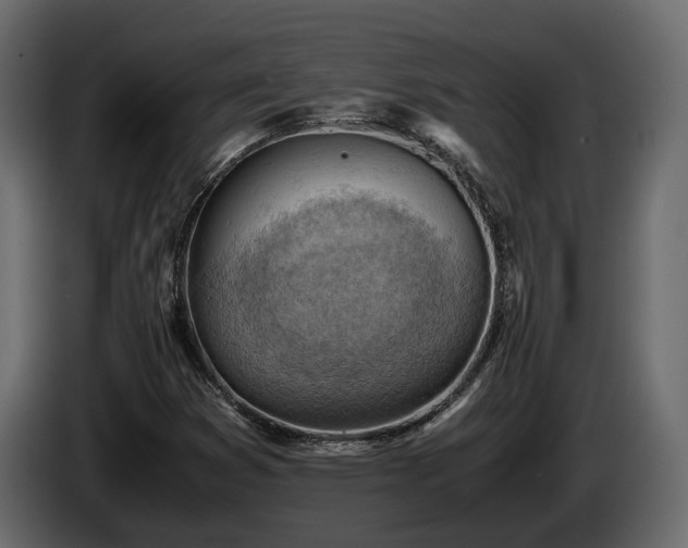 X0000085741353200703231101