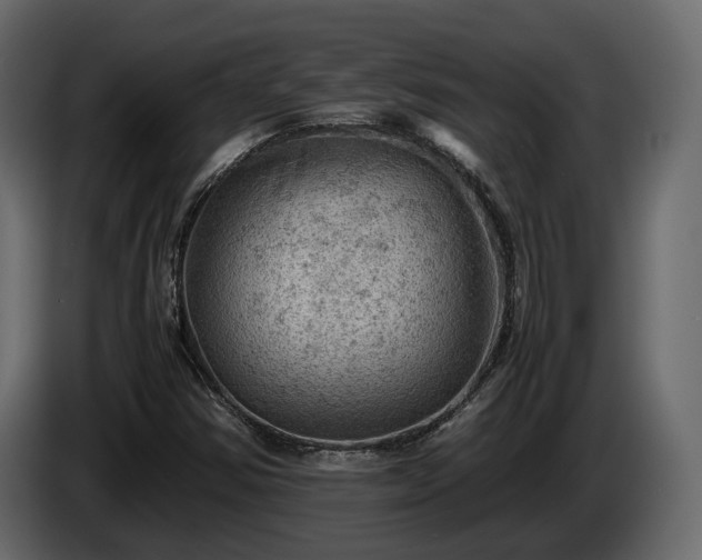X0000085741354200703231101
