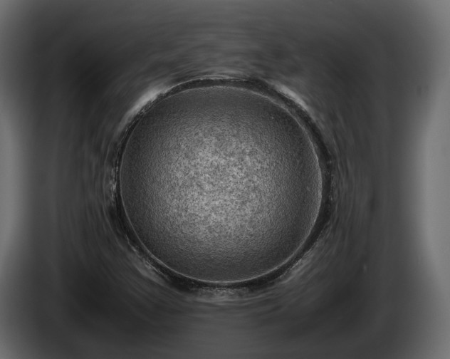 X0000085741355200703231101
