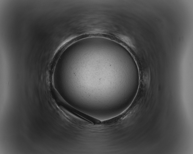 X0000085741356200703231101