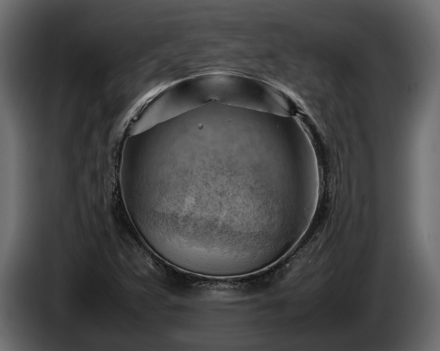 X0000085741359200703231101