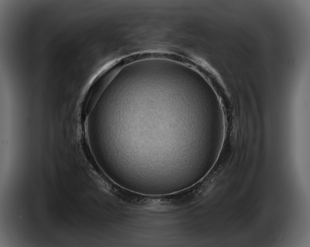X0000085741360200703231101