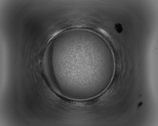 X0000085741361200703231101