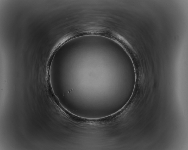 X0000085741362200703231101