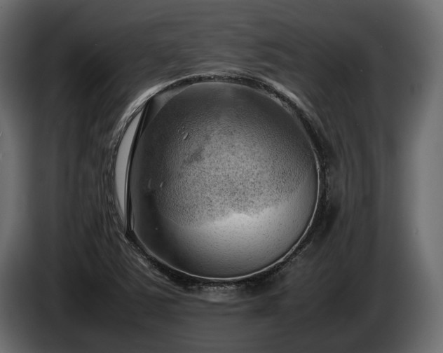 X0000085741363200703231101