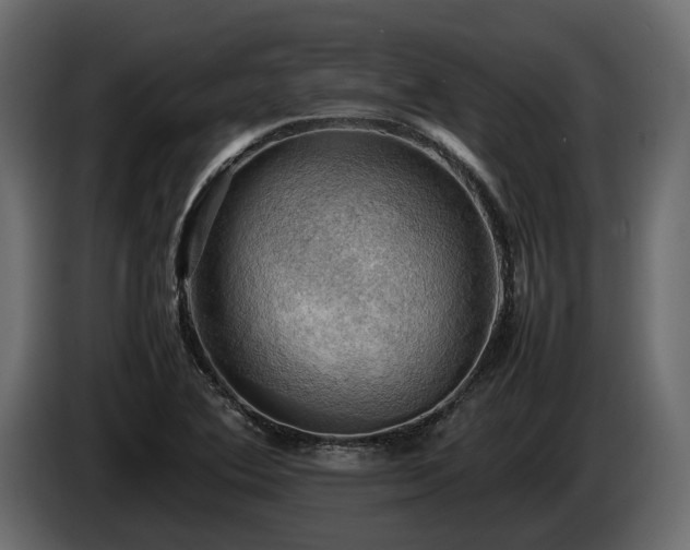 X0000085741364200703231101