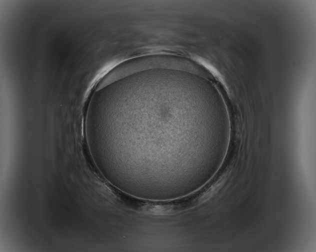 X0000085741365200703231101