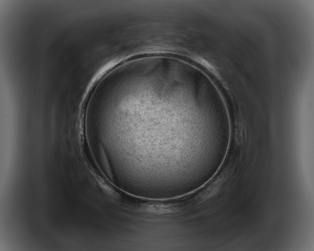 X0000085741366200703231101