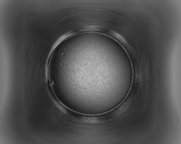 X0000085741370200703231101