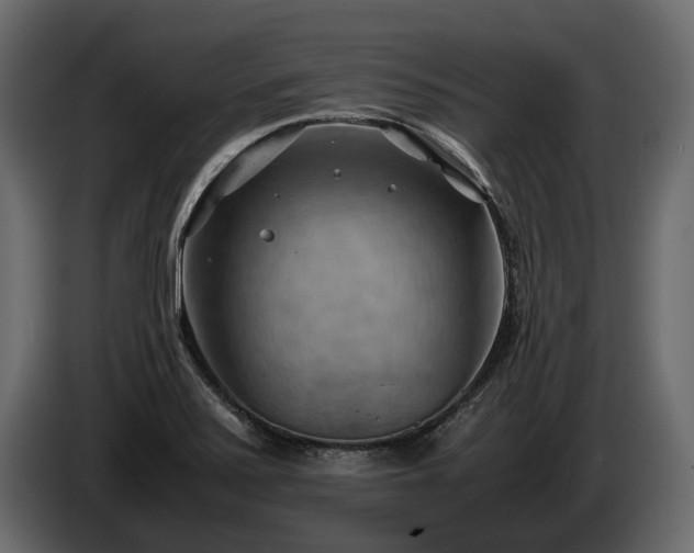 X0000085741371200703231101