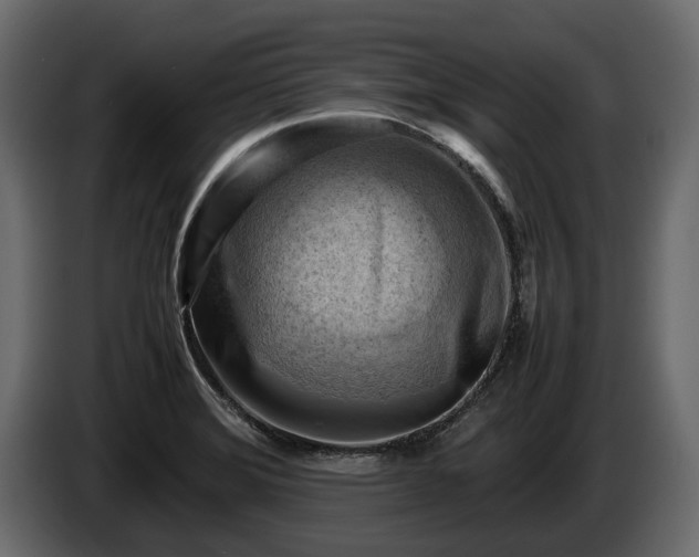 X0000085741372200703231101
