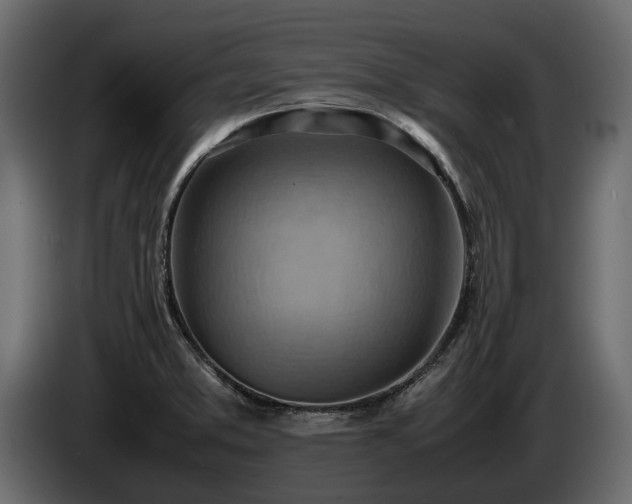 X0000085741373200703231101