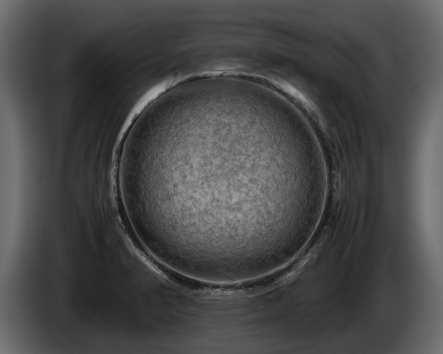 X0000085741374200703231101
