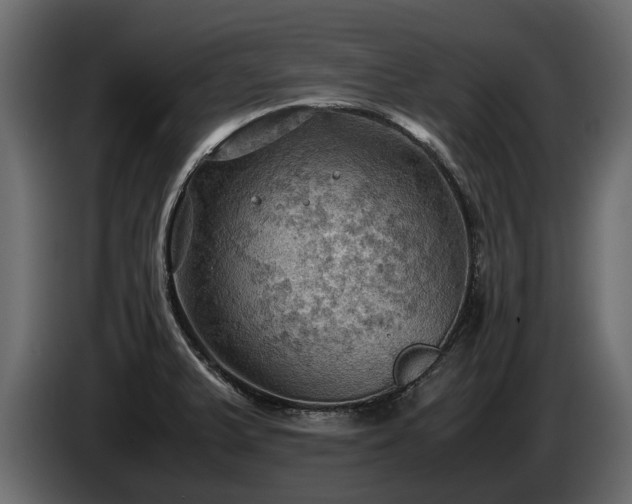X0000085741375200703231101