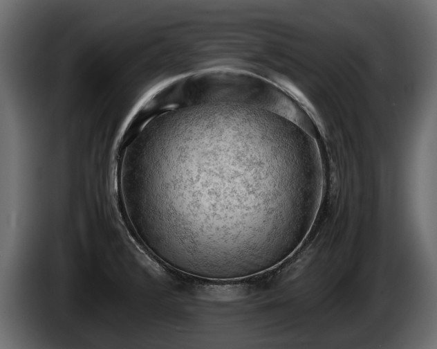X0000085741376200703231101