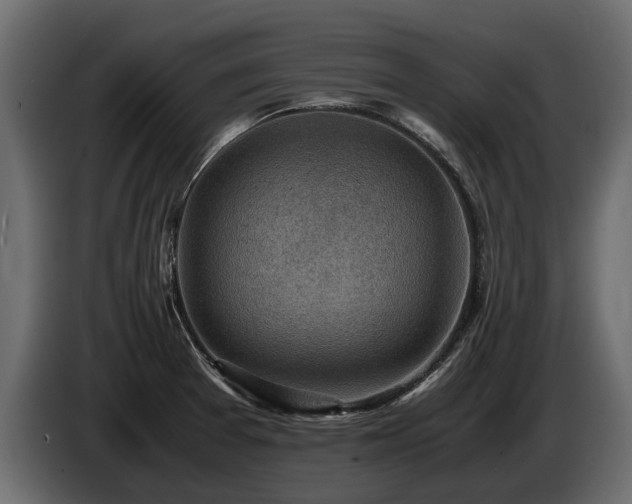 X0000085741377200703231101