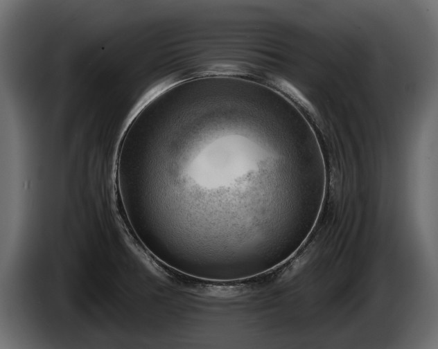X0000085741378200703231101