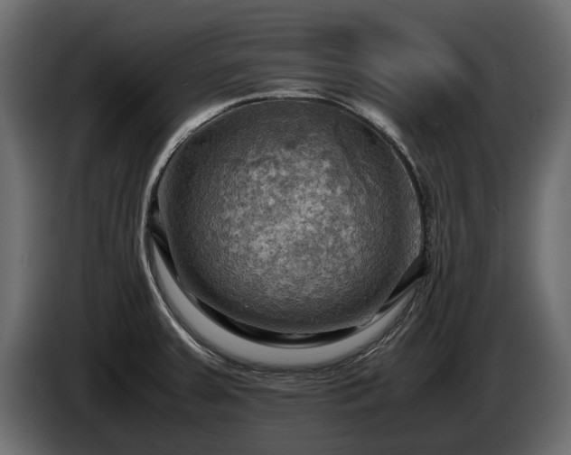X0000085741379200703231101