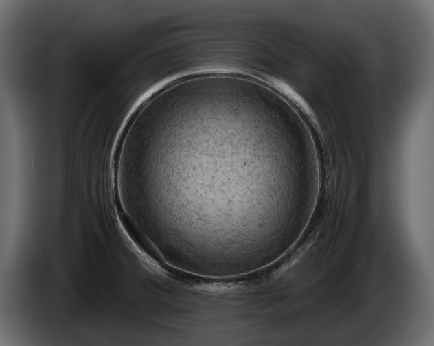 X0000085741380200703231101