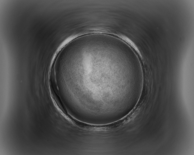 X0000085741381200703231101