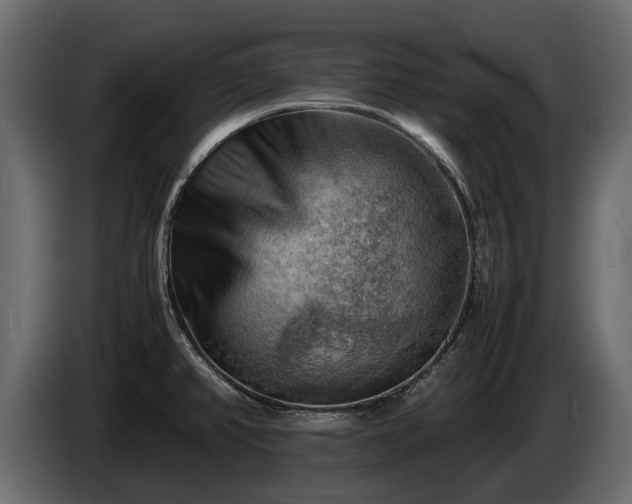 X0000085741382200703231101