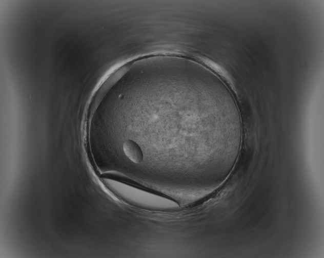 X0000085741383200703231101